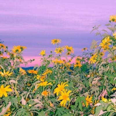 168极速赛车平台·官方网站