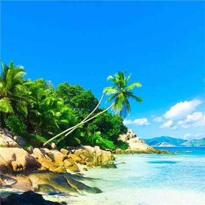 威斯尼斯wns888入