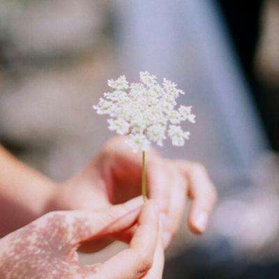 澳门4949资料免费大全